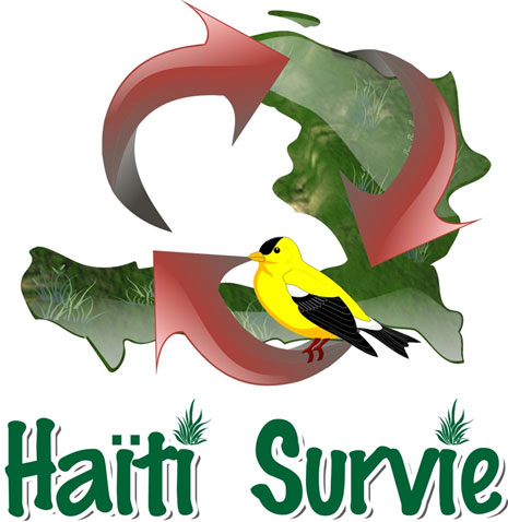 Haiti Survie : 